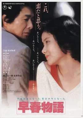 经典电影海报展示
